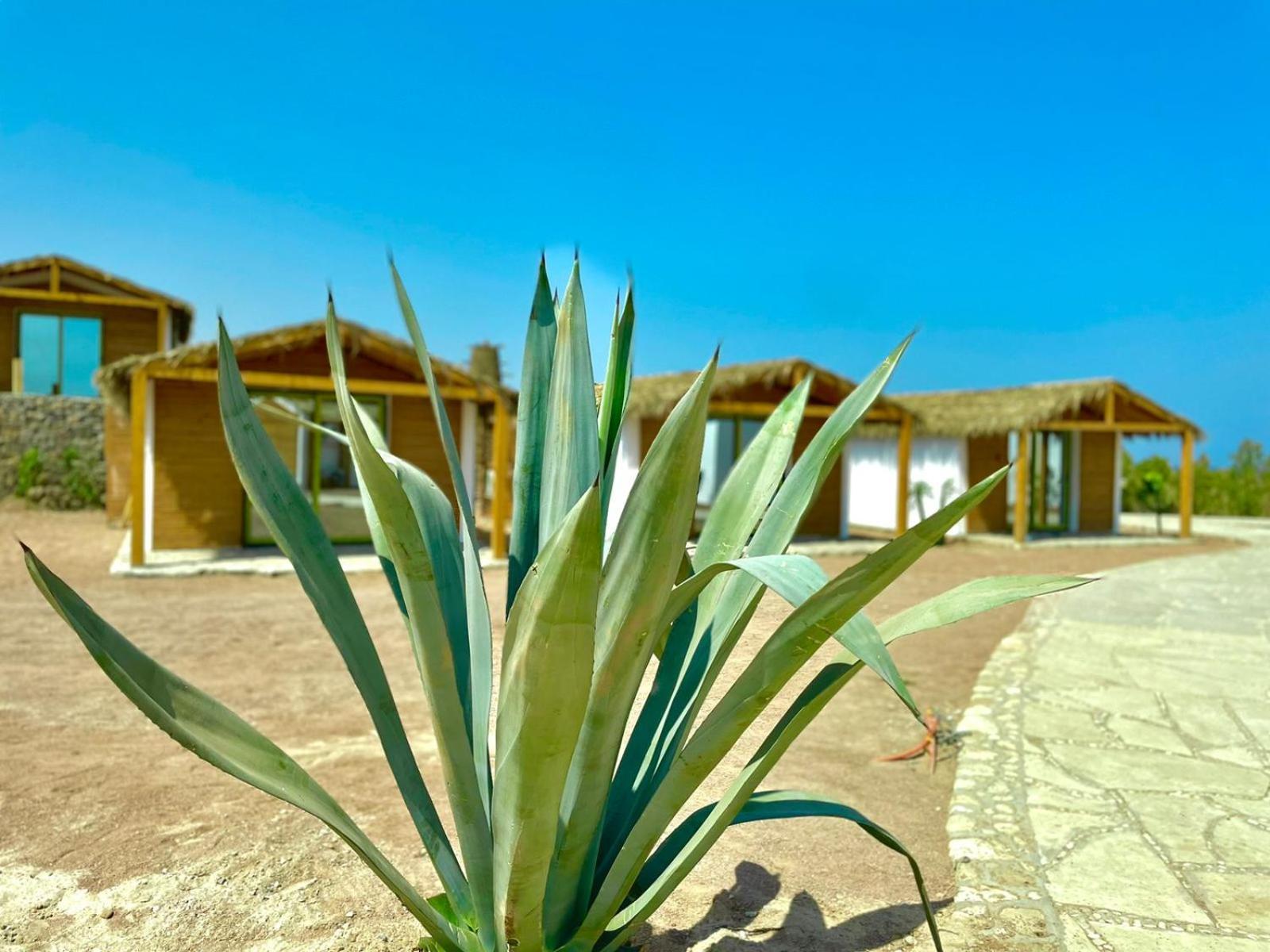 Ananda Beach Camp Nuweiba` Eksteriør billede